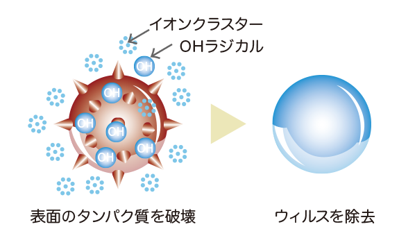 ウィルス除去のメカニズム